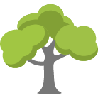 Ooltewah Tree Removal