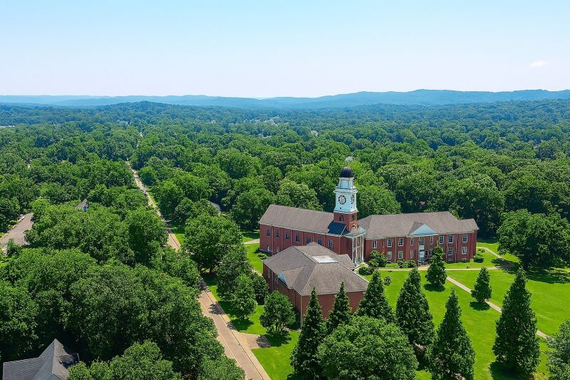 Tree Removal Service in Cleveland, TN