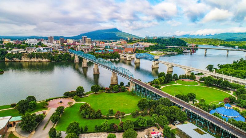 Tree Removal Service in Chattanooga, TN