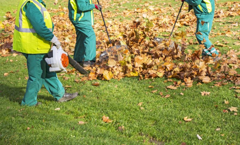 Leaf Removal in Progress