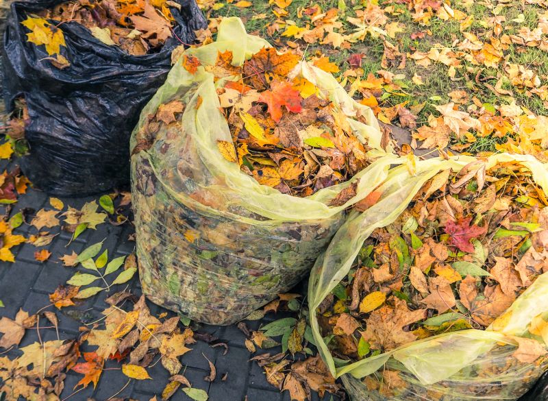 Organized Leaf Collection