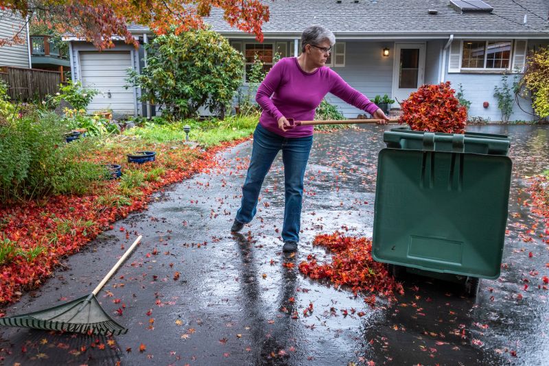 Disposal of Collected Leaves