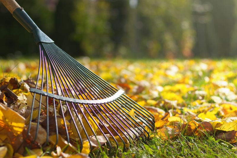 Leaf Raking Technique
