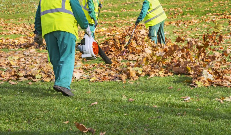 Leaf Blowing for Clean-Up