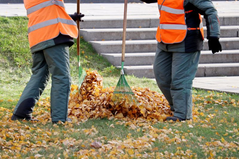 Leaf Collection Process