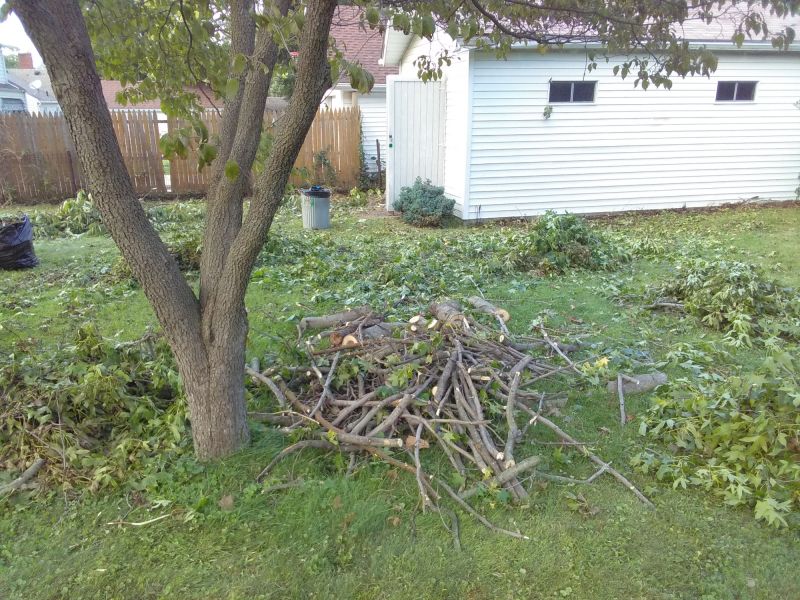 Landscape Restoration